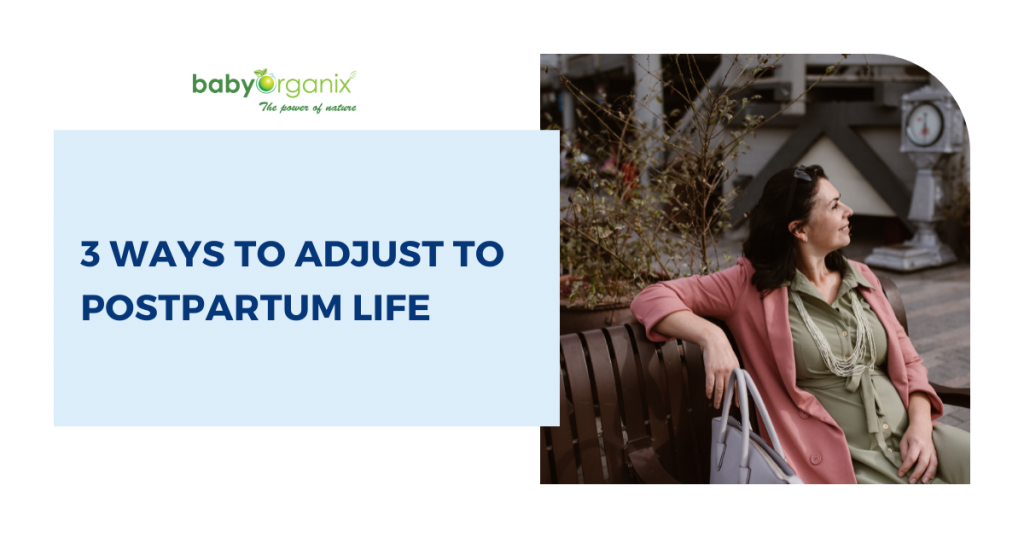 babyorganix 3 ways to adjust to postpartum life